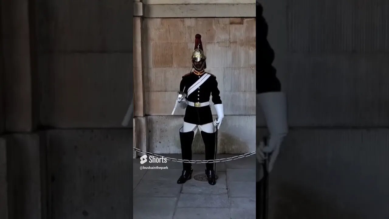 Several moments jumps scares and all most droning the scabbard #horseguardsparade