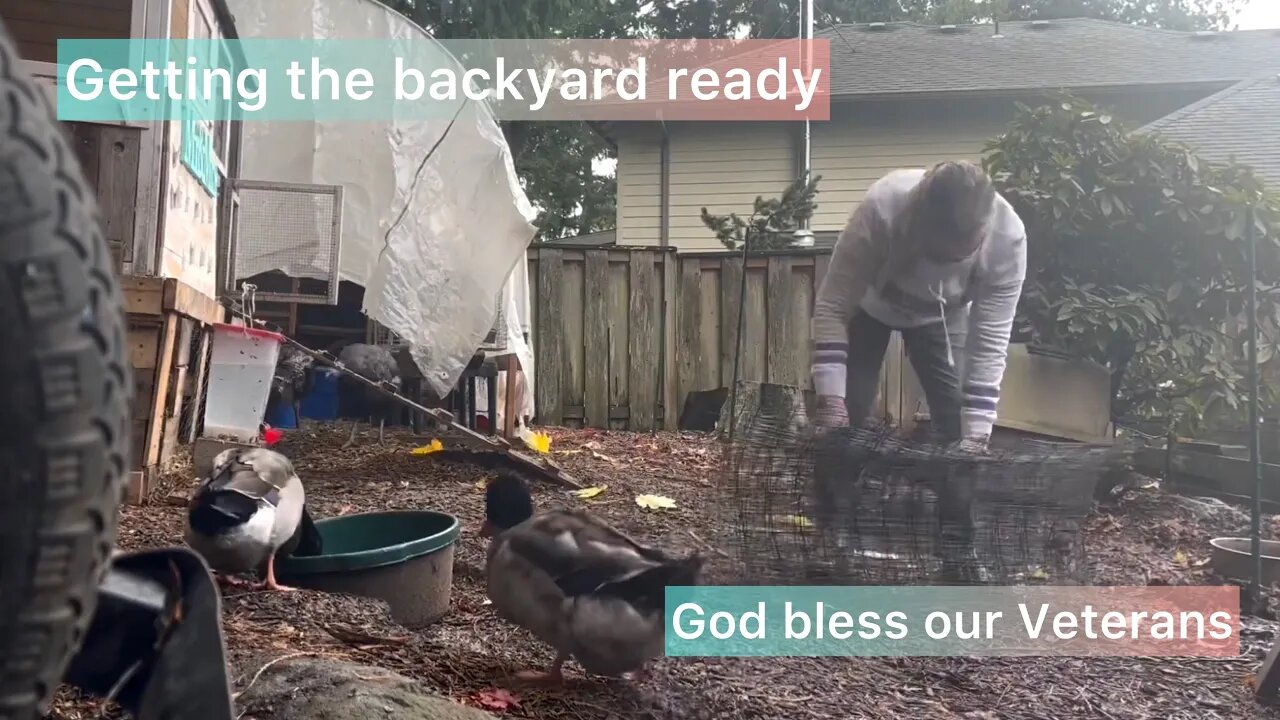 Getting our chicken area ready for our move