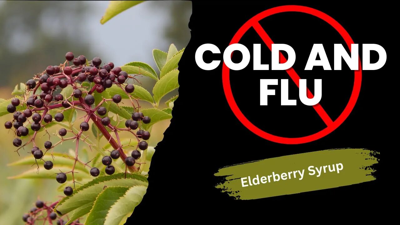 Home Remedy For Cold And Flu | Elderberry Syrup with Astragalus