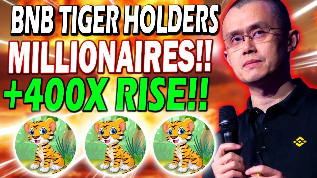 BNB TIGER HOLDERS!! THIS IS MASSIVE!! YOU HAVE TO WATCH THIS NOW!!