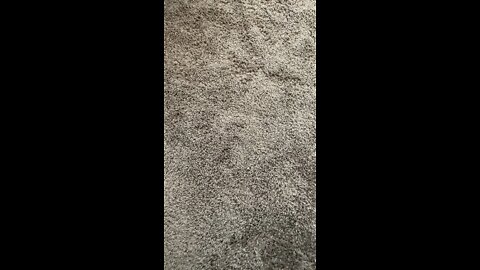 v78