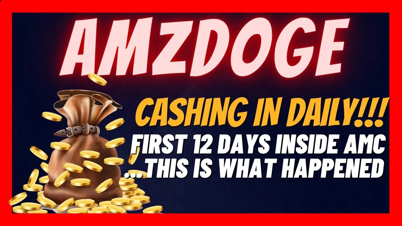 AMZDOGE Update 🔍 My Journey Inside this Daily ROI Opportunity 📈 Is it Time to Scale It?