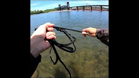 Cast netting Baitfish