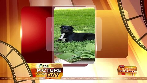 Art's Cameras Plus Picture of the Day for June 18!