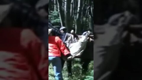 Horses vs Man Compilation Horse 7 man 0 #shorts #horse #horsekicks #horsekicksman