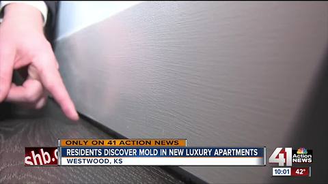 Mold issues plague high-end Westwood apartment