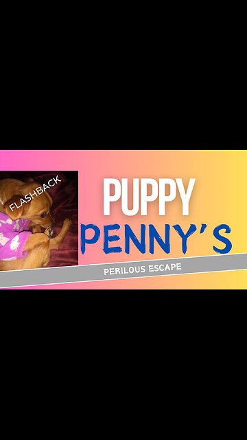 Puppy Penny's Perilous Escape