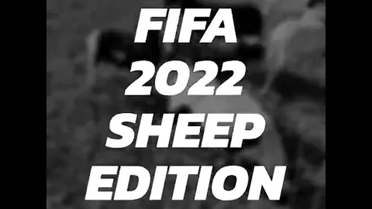 Fifa World Cup 2022 Live sheep edition #soccer #fifa #shorts #live