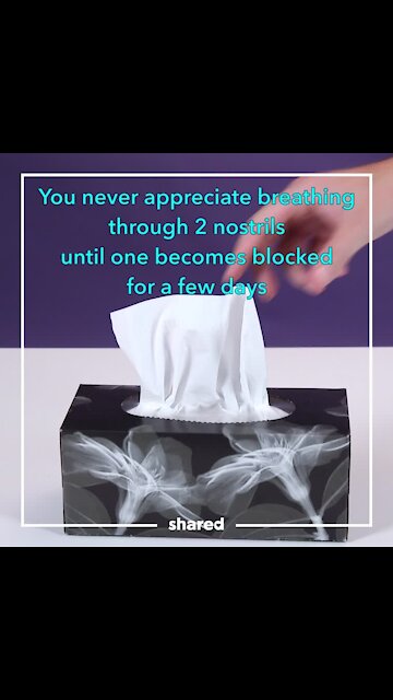 Nostril relief [GMG Originals]