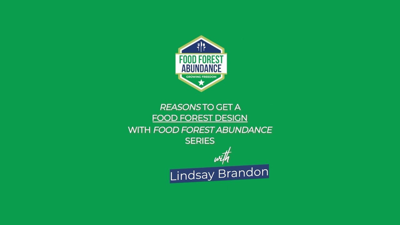 Reason to get a food forest design with Food Forest Abundance: with Lindsay Brandon