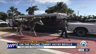 Horse killed, another injured in St. Lucie County roadway incident