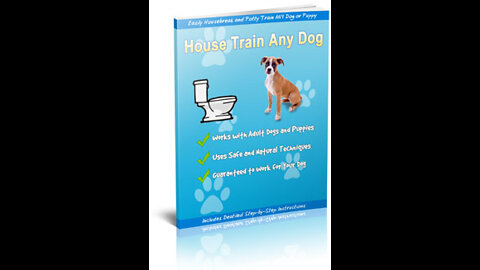 How to Potty Train Any Dog