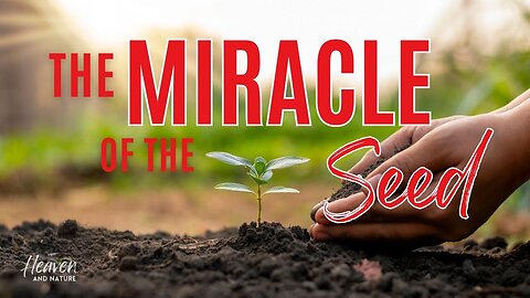 Devotional: Miracle of the Seed (1 Cor 3:6)