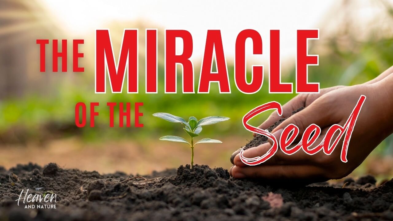 Devotional: Miracle of the Seed (1 Cor 3:6)