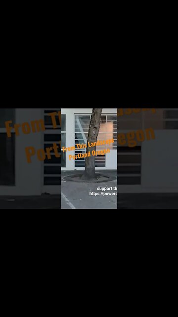 Saturday Market Rats - (SUBSCRIBE) From This Landscape Portland Oregon USA #FTLShorts