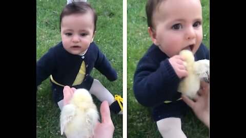 Toddler I love chicken 🐥 yummy!!