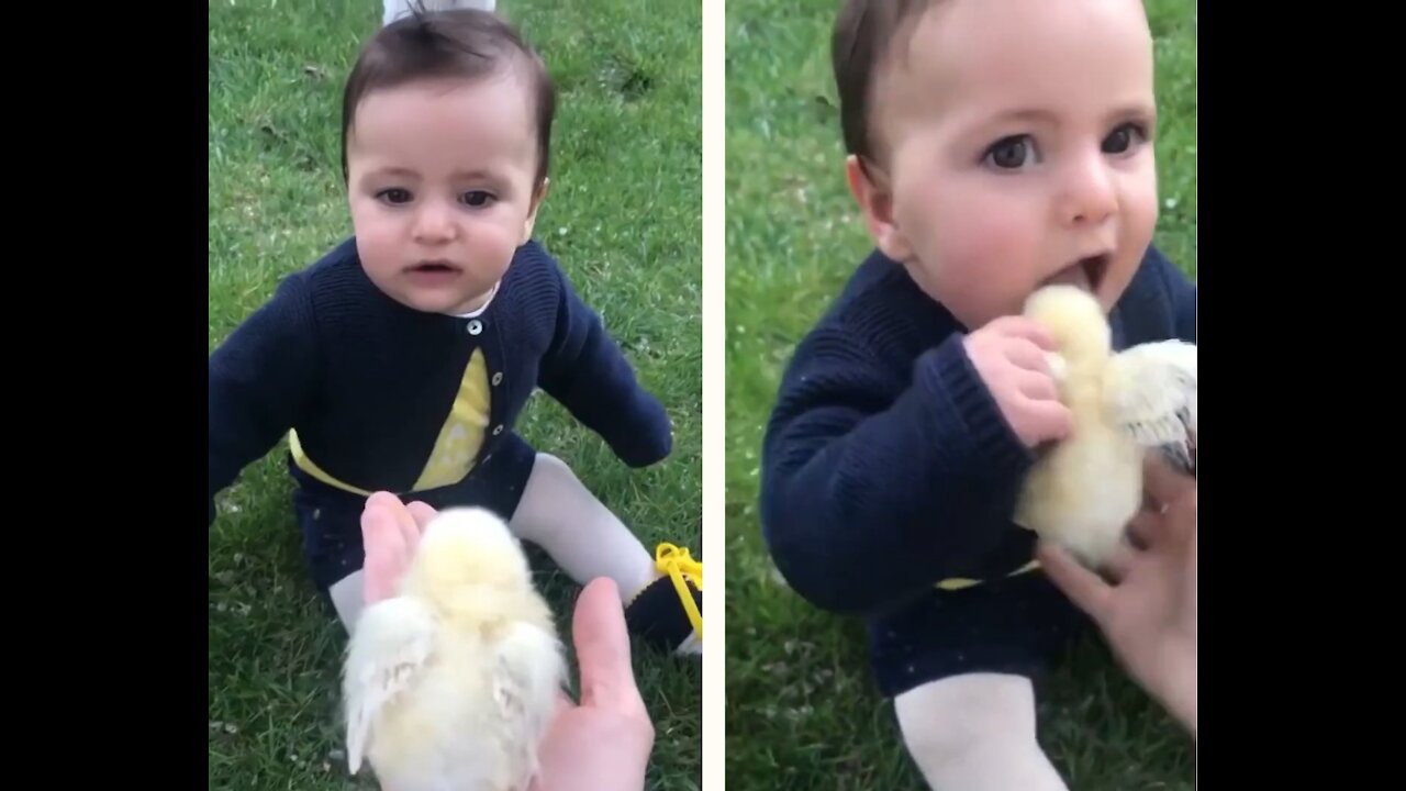 Toddler I love chicken 🐥 yummy!!