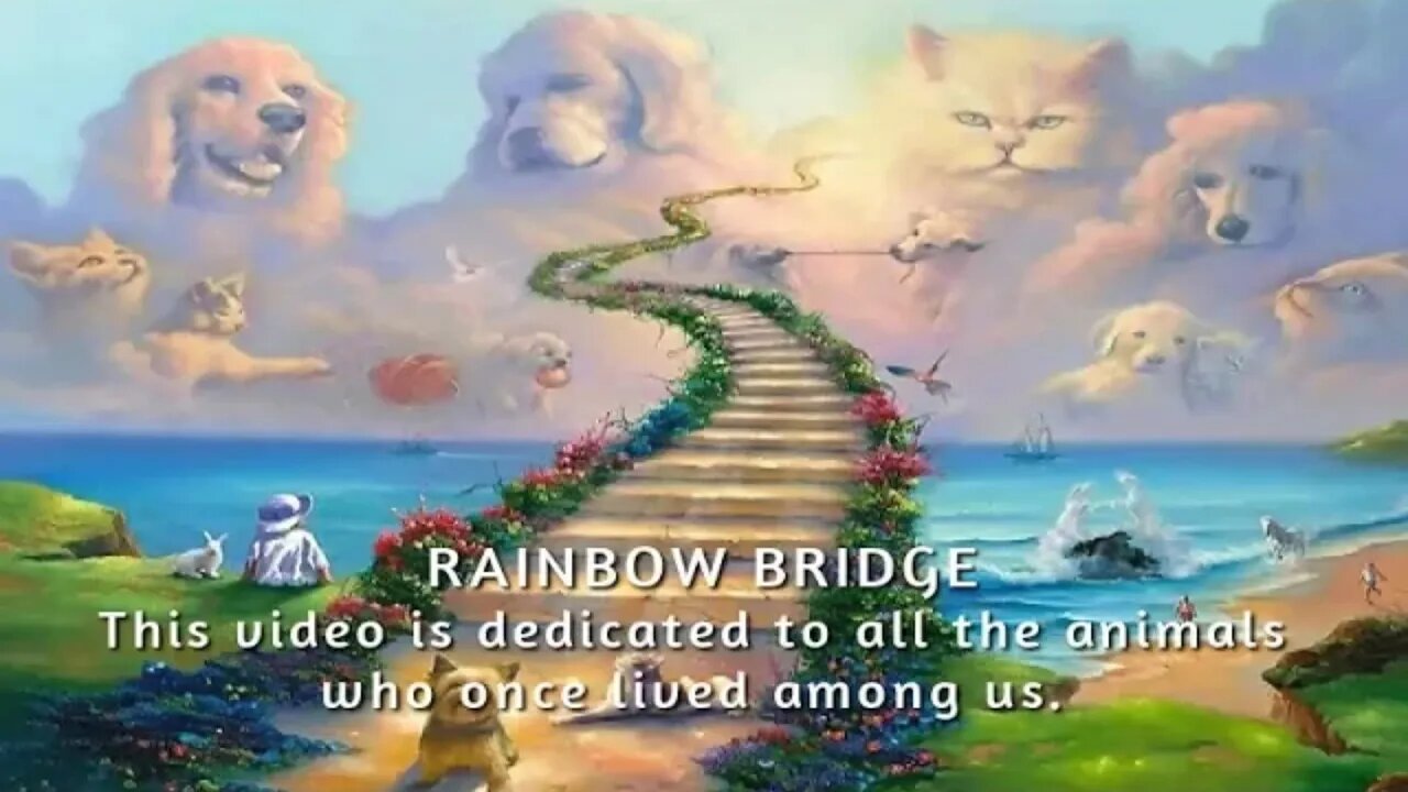 RAINBOW BRIDGE: 'GOING HOME' MUSIC VIDEO by Libera