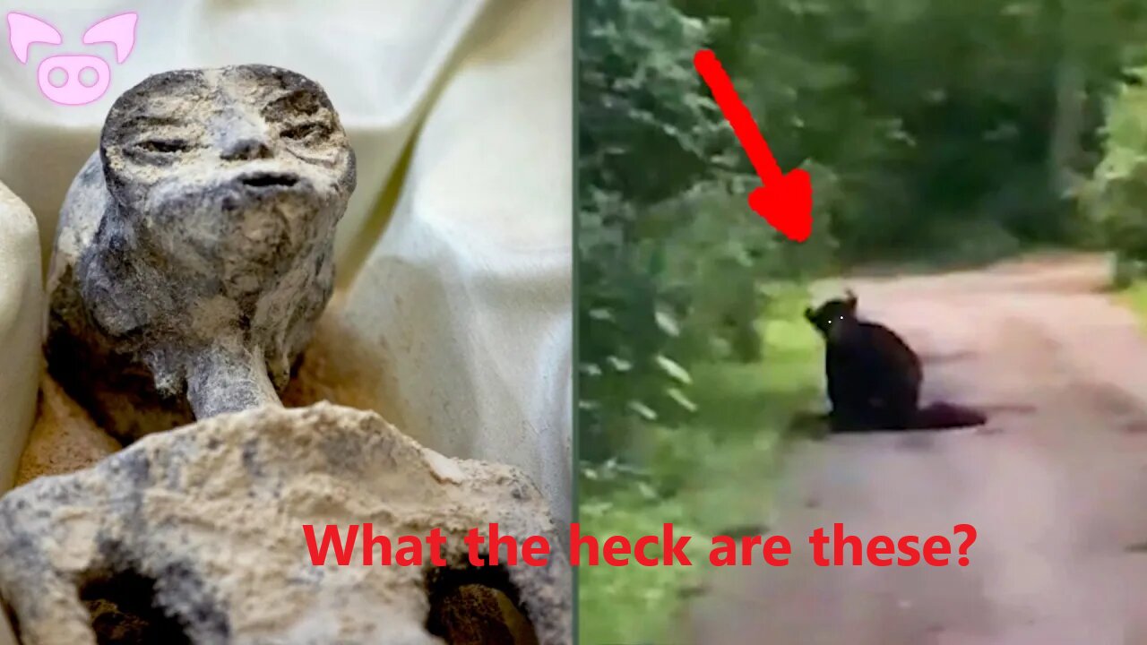 This Unsettling Detail Has Everyone Talking