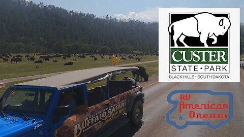 RvAmericanDream - Buffalo Close Encounter Custer State Park