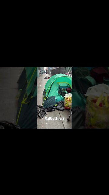 We're just trying to survive