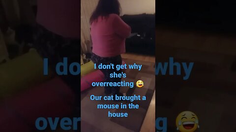 Cat Brought In A Mouse #cat #cats #catsoftiktok #catshorts #mouse #funnymoments #funny #reaction