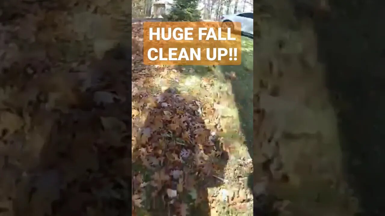 Huge Fall Clean-up!