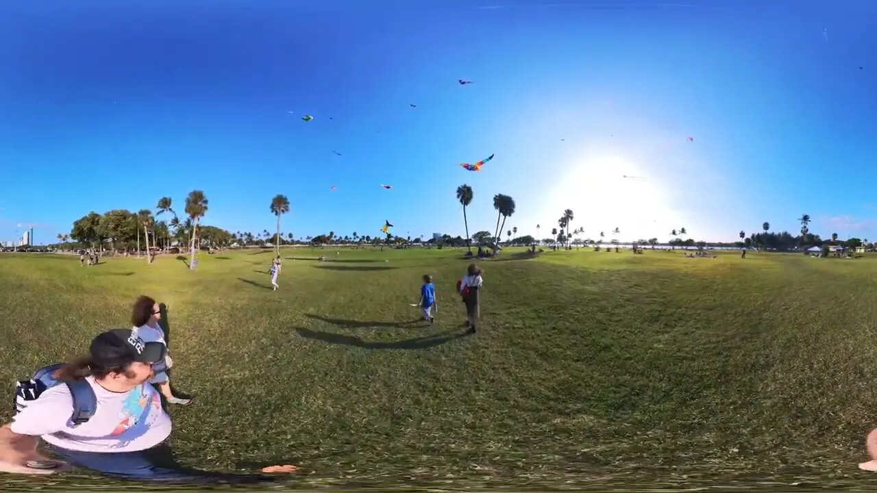 International Kite Day in Miami 360°