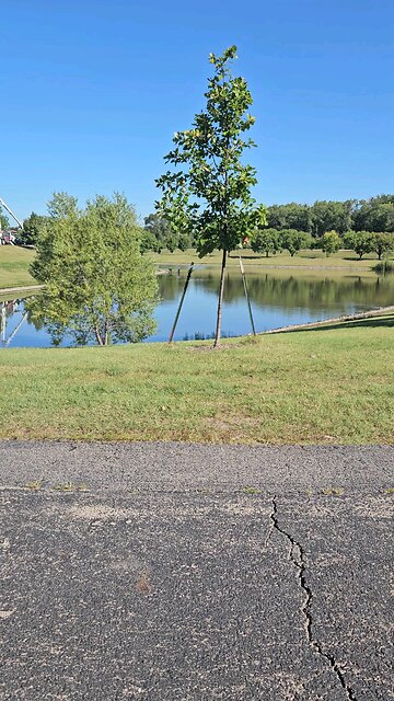 My Peaceful Place - What's Going on in Chicago?