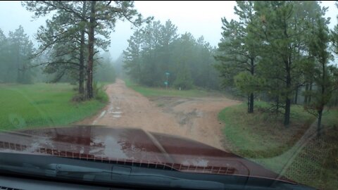 Driveway 20210523 HighDefinition