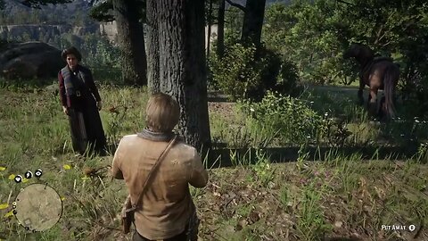 Arthur Morgan obsessed with Chickens