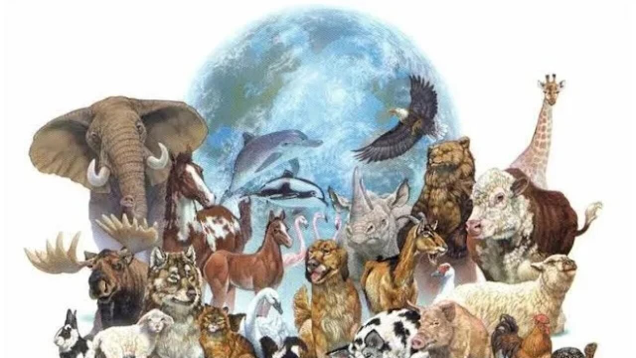 Animais dentro de suas respectivas cores -Bob Navarro