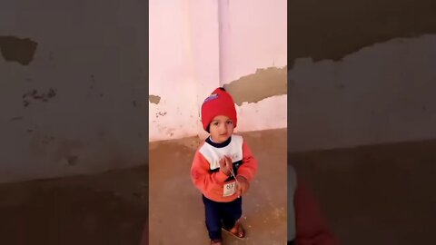 crazy dogs funny 😆#shorts #trending #viral #rudrakhatanagurjjar #rudrakrishna #whatsappstatus #dogs