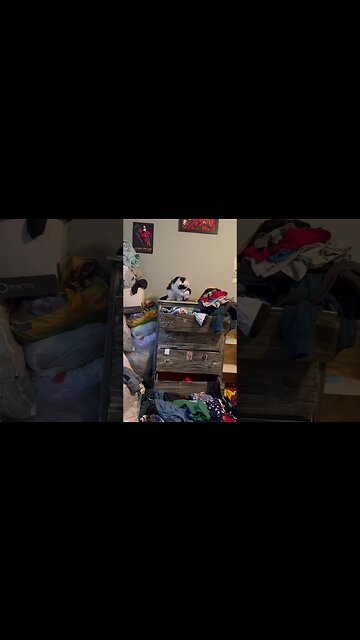 Cat Burglar Emptying Dresser Drawers