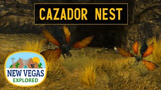 Cazador Nest | Fallout New Vegas Explored