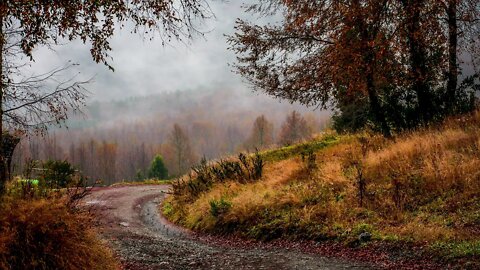 Gentle rain hitting a dirt road at Hulio Hulio Biological reserve