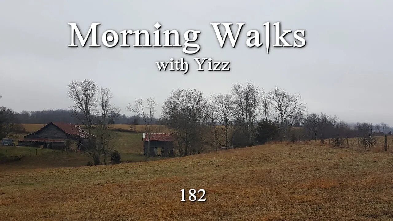 Morning Walks with Yizz182