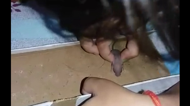 3 year old Girl playing with baby rat you won't believe how she handles it