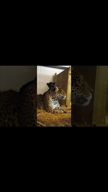 Cute adorable baby child with warm white and pink hat with cute baby girl