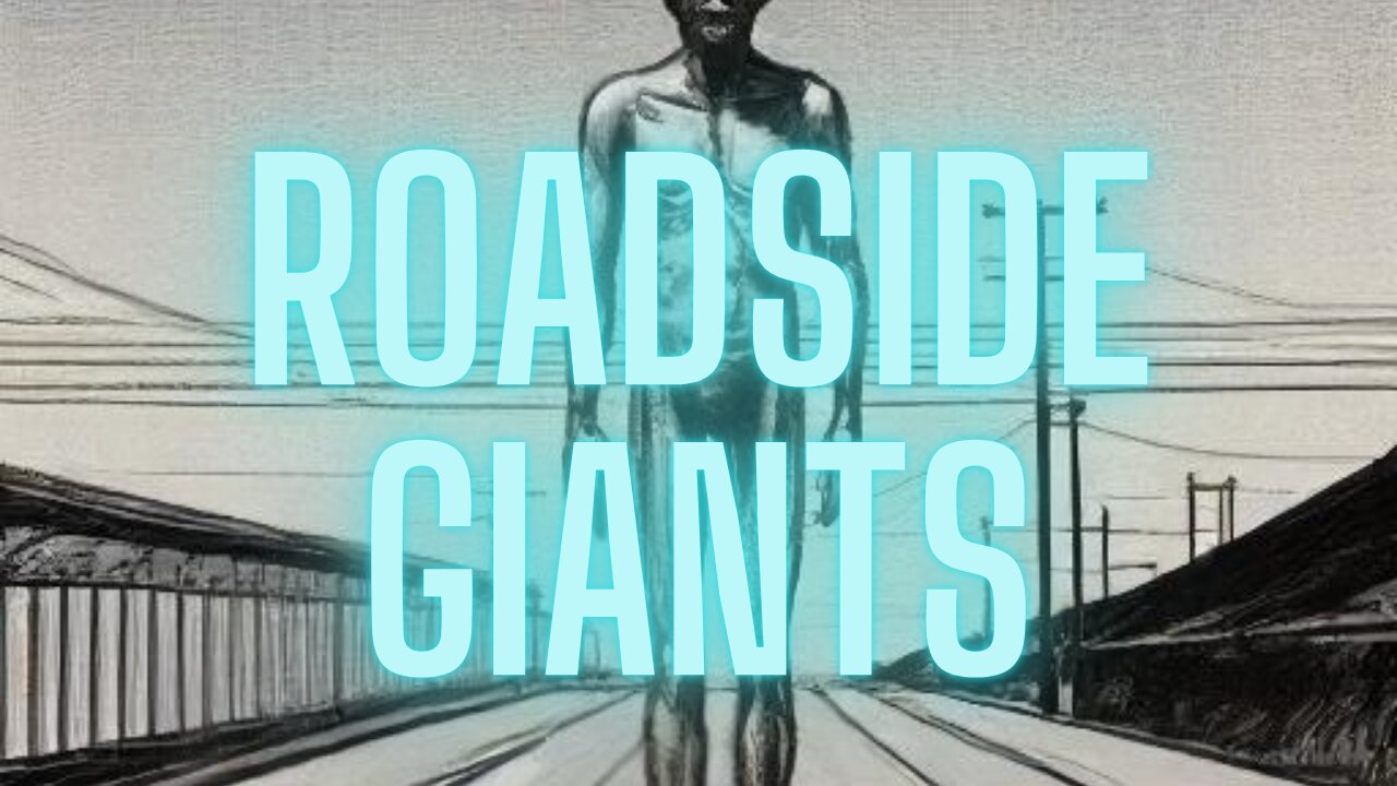 The Terrifying Roadside Giants: Why Our Roads Aren’t Safe