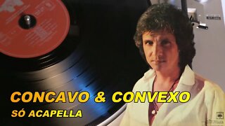 O Côncavo e o Convexo Roberto Carlos ACapella