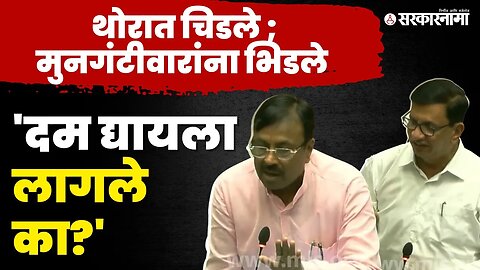 Vidhan Sabha हमरीतुमरी ; तरुण बाजूलाच, ज्येष्ठ नेतेच भिडले । Balasaheb Thorat। Sudhir Mungantiwar।