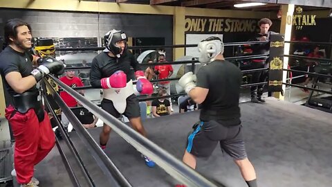 Mikey The Bull Sparring Mixtape