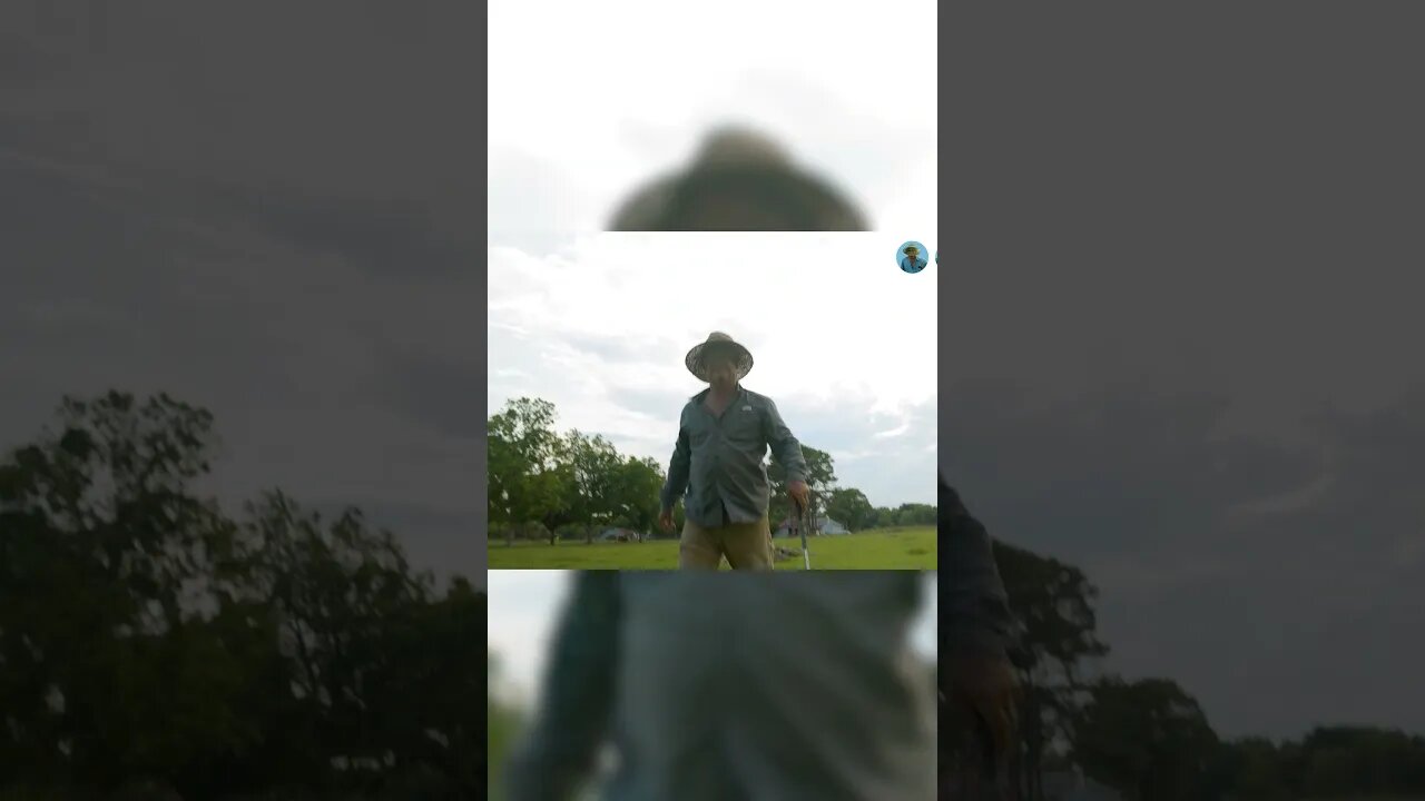 #shorts | WE PLAY REDNECK GOLF | PLAYING GOLF THROUGH CORN FIELDS | CORN COB CLASSIC | CIWTG