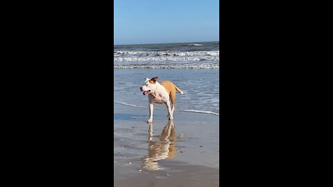 Beach gazing￼