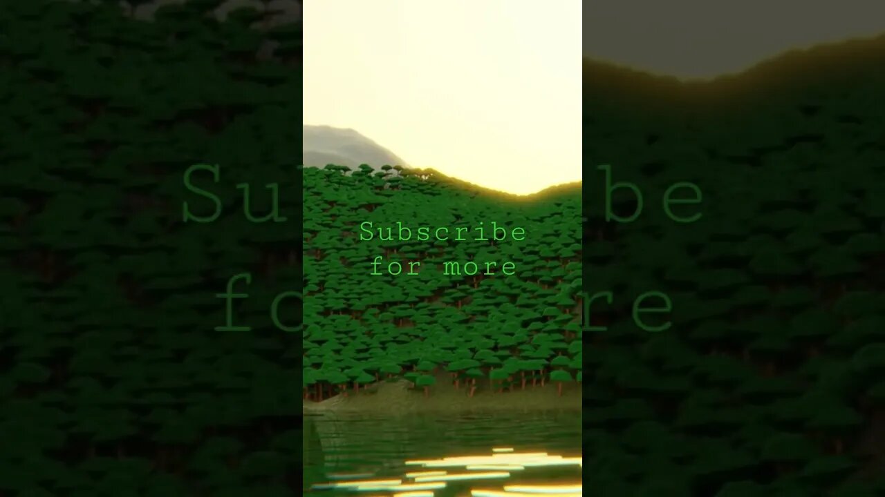 Calming forest video