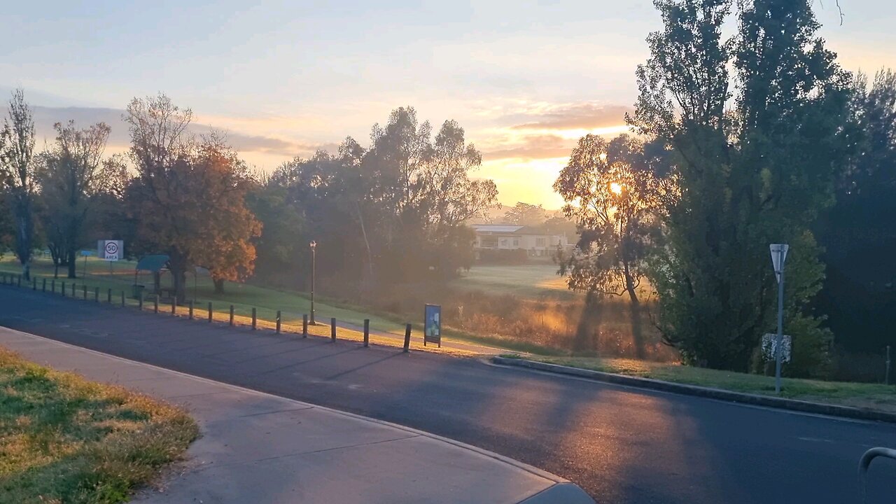 Autumn Morning 🍂