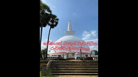 ද්‍රෝණයක් ධාතූන් වැඩ සිටින ස්වරණමාලී මහ සෑරදුන් @chcreation moratuwa