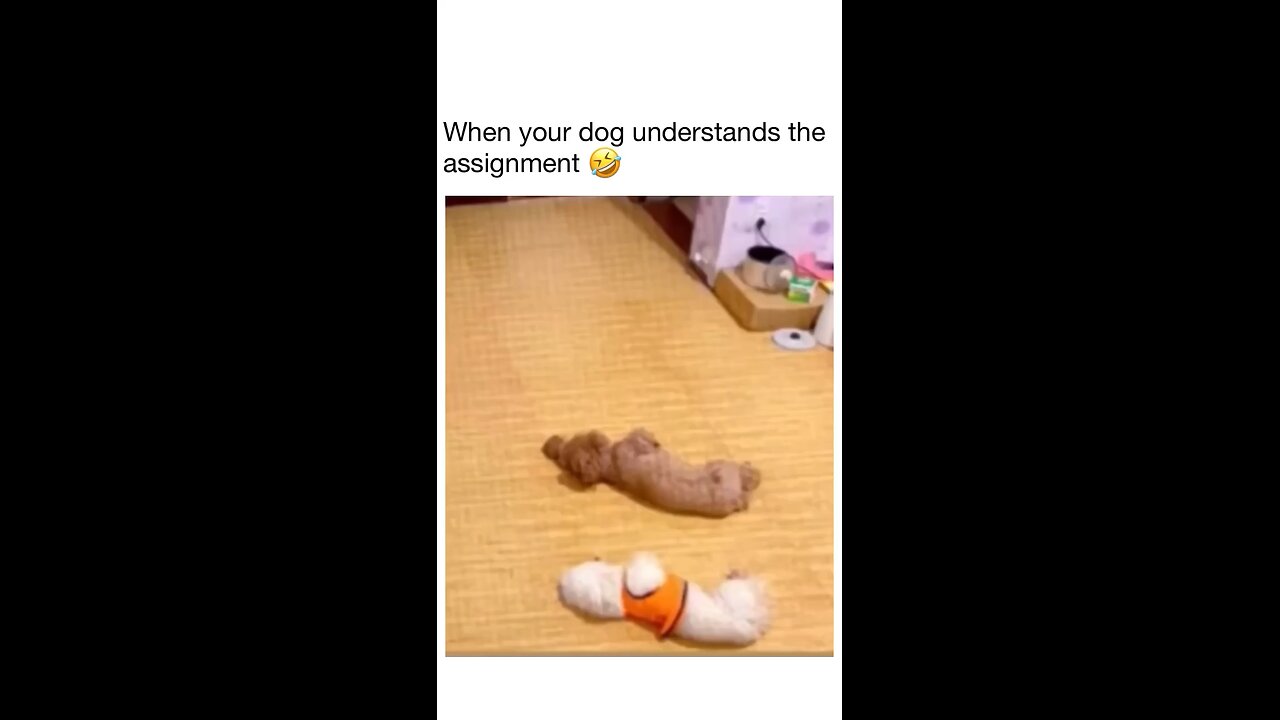 😂😂