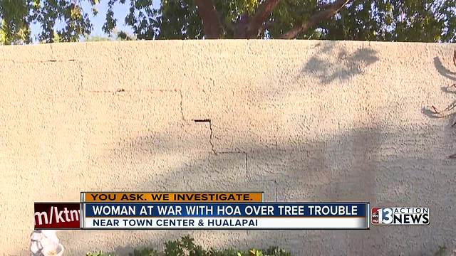 Woman at war with HOA over tree troubles